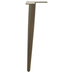 Pieds de table basse coniques 4 pièces Acier naturel 30-31 cm Acier 