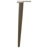Pieds de table basse coniques 4 pièces Acier naturel 30-31 cm Acier 