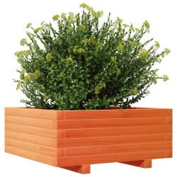 Jardinière cire marron 60x60x26,5 cm bois de pin massif 