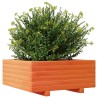 Jardinière cire marron 60x60x26,5 cm bois de pin massif 