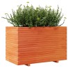 Jardinière cire marron 110x60x72 cm bois de pin massif 