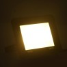 Projecteurs à LED 2 pcs 50 W Blanc chaud  