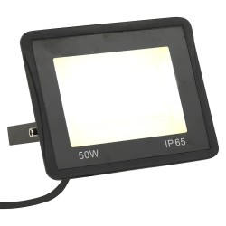 Projecteurs à LED 2 pcs 50 W Blanc chaud  
