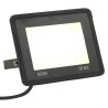 Projecteurs à LED 2 pcs 50 W Blanc chaud  