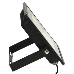 Projecteurs à LED 2 pcs 50 W Blanc chaud  