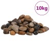 Galets polis 10 kg multicolores 2-5 cm 
