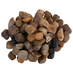 Galets polis 10 kg multicolores 2-5 cm 