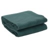 Tapis de tente vert 4x2,5 m 