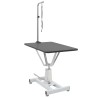 Table Toilettage Ajustable Hydraulique pour Chiens avec Pivot 