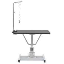 Table Toilettage Ajustable Hydraulique pour Chiens avec Pivot 