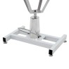 Table Toilettage Ajustable Hydraulique pour Chiens avec Pivot 