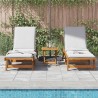 Chaises longues lot de 2 Bois d'acacia solide 