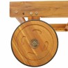 Chaises longues lot de 2 Bois d'acacia solide 
