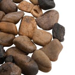 Galets polis 10 kg multicolores 2-5 cm 