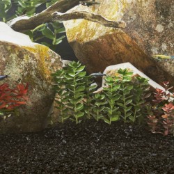 Sable pour aquarium 10 kg noir 0,2-2 mm 