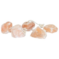 Pierres à lécher 100 pcs avec cordes pour le bétail 12,5 kg Rose 