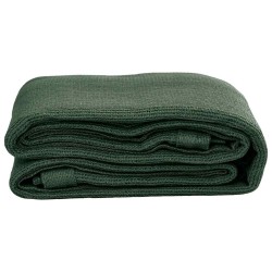 Tapis de tente 250 x 600 cm PEHD Vert 