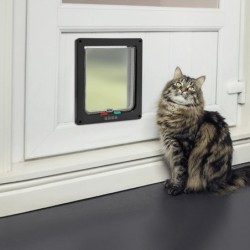 Porte intelligente pour chat pour murs et portes Porte pour animaux de