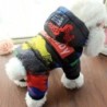 Manteaux imperméables pour petits chiens, coupe-vent, chaud, complet, 