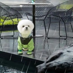 Manteaux imperméables pour petits chiens, confortables, en TPU, imperm