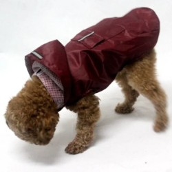 Manteau imperméable pour chien, veste à capuche imperméable, Poncho de