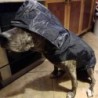 Manteau imperméable pour chien, veste à capuche imperméable, Poncho de