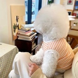 Nouveau chien de compagnie rayé sweat chien vêtements pour petits chie