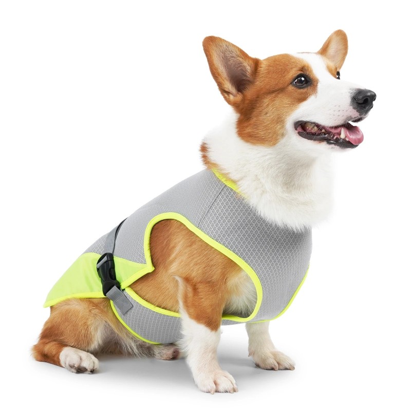 Gilet rafraîchissant – Gilet respirant pour chien pour les jours d'été Gilet rafraîchissant – Gilet respirant pour chien pour les jours d'été