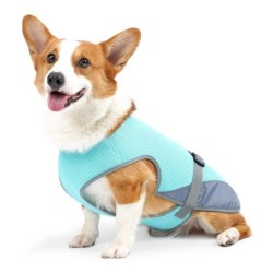 Gilet rafraîchissant – Gilet respirant pour chien pour les jours d'été