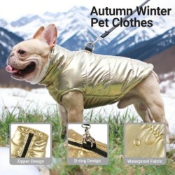 Automne Hiver Pet Chien Vêtements Pour Petit Moyen Chiens Chat Étanche