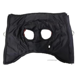 Vêtements chauds imperméables pour chiens, manteau pour animaux de com