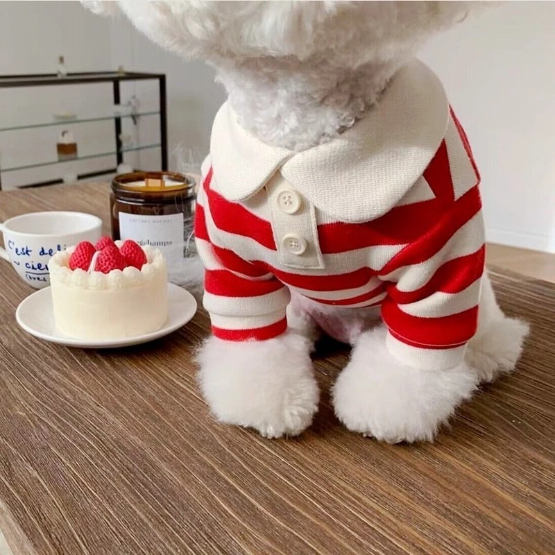 Polo d'été pour chiens, vêtements pour chiots, Bichon Frise, Chihuahua Polo d'été pour chiens, vêtements pour chiots, Bichon Frise, Chihuahua