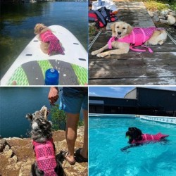 Gilet de sauvetage pour chien de compagnie, flottabilité améliorée, vê