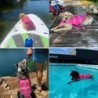 Gilet de sauvetage pour chien de compagnie, flottabilité améliorée, vê