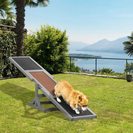Scie à bascule d'agilité pour chien, en bois, pour l'entraînement et l