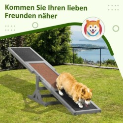 Scie à bascule d'agilité pour chien, en bois, pour l'entraînement et l