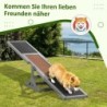 Scie à bascule d'agilité pour chien, en bois, pour l'entraînement et l
