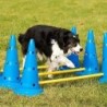 Ensemble d'entraînement d'agilité pour animaux de compagnie, barre de 