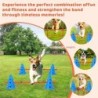 Ensemble de cônes d'agilité pour chien, ensemble de cours d'agilité po