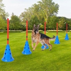 Ensemble de cônes d'agilité pour chien, ensemble de cours d'agilité po