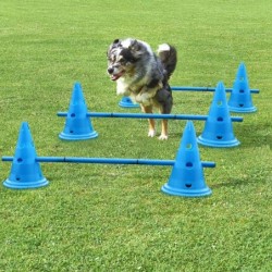 Ensemble de 3 produits d'entraînement pour chiens, durables, piquets d