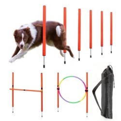 Équipement d'agilité pour chien, équipements d'entraînement portables 