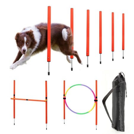 Équipement d'agilité pour chien, équipements d'entraînement portables 