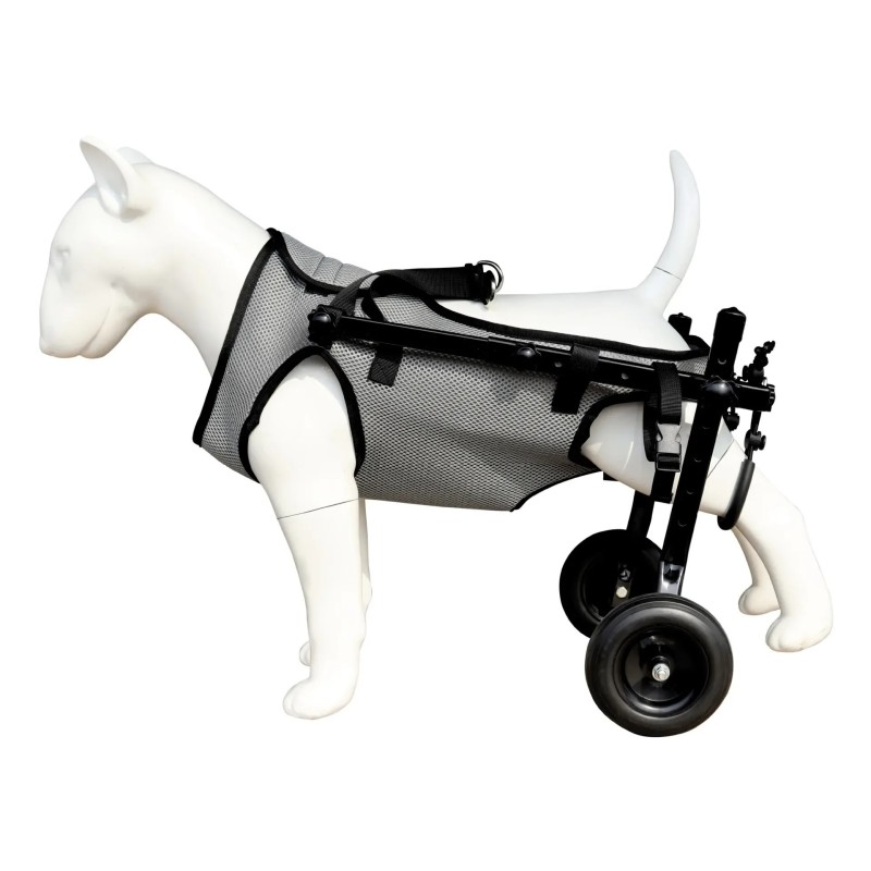 Chariot pour animaux de compagnie, jambe arrière réglable, aide à la m