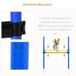 Équipement d'entraînement à l'agilité pour chien, ensemble complet, Tu