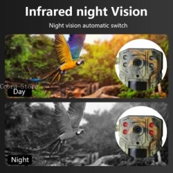 Caméra solaire de chasse et de suivi des sentiers, 4MP 14MP 4G epiCard