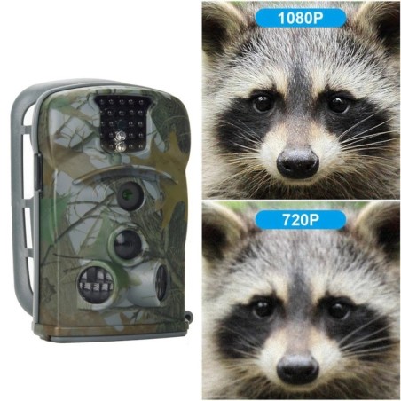 Caméra de chasse à vision nocturne HD, caméra de surveillance photo et