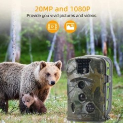 Caméra de chasse à vision nocturne HD, caméra de surveillance photo et