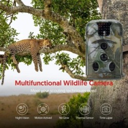 Caméra de chasse à vision nocturne HD, caméra de surveillance photo et