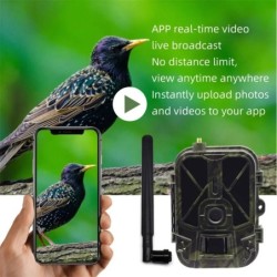 Caméra de piste cellulaire étanche IP66, vidéo en direct 4G HD, batter